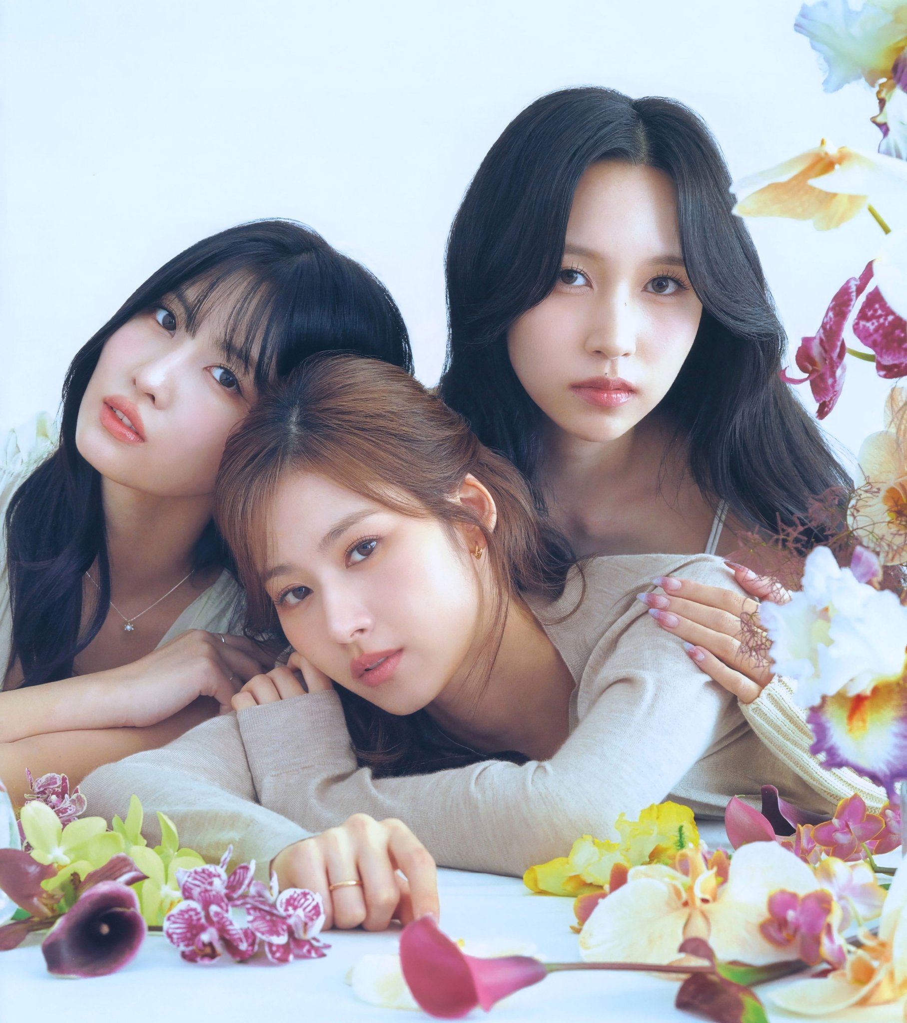 hq720.jpg?sqp=-
