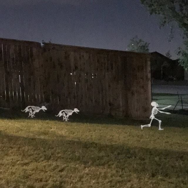 etsy.me/3KjYIwF via <a href="/Etsy/">Etsy</a> Better Run... FX items on sale now... Buypumpkinteeth.com