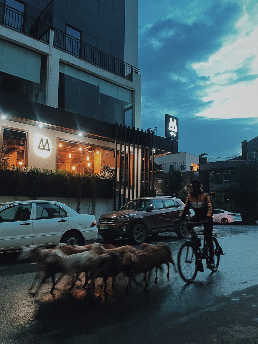 Just a random day in Addis.

#sheeps #addisnights #moye