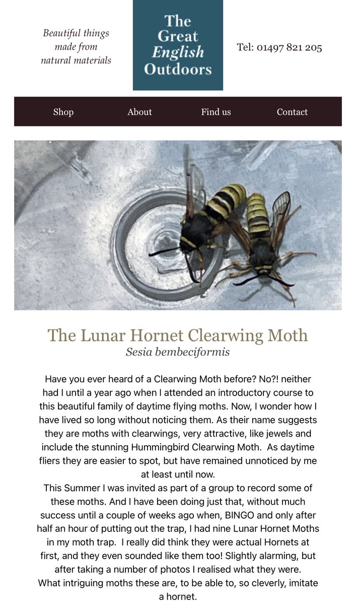 EnglishOutdoors's tweet photo. July Nature Notes is out https://t.co/B19bgH0tmp
@savebutterflies @ukmoths @Seasaver @nytimes @Stop_the_Grind https://t.co/MxhKx4tuvu