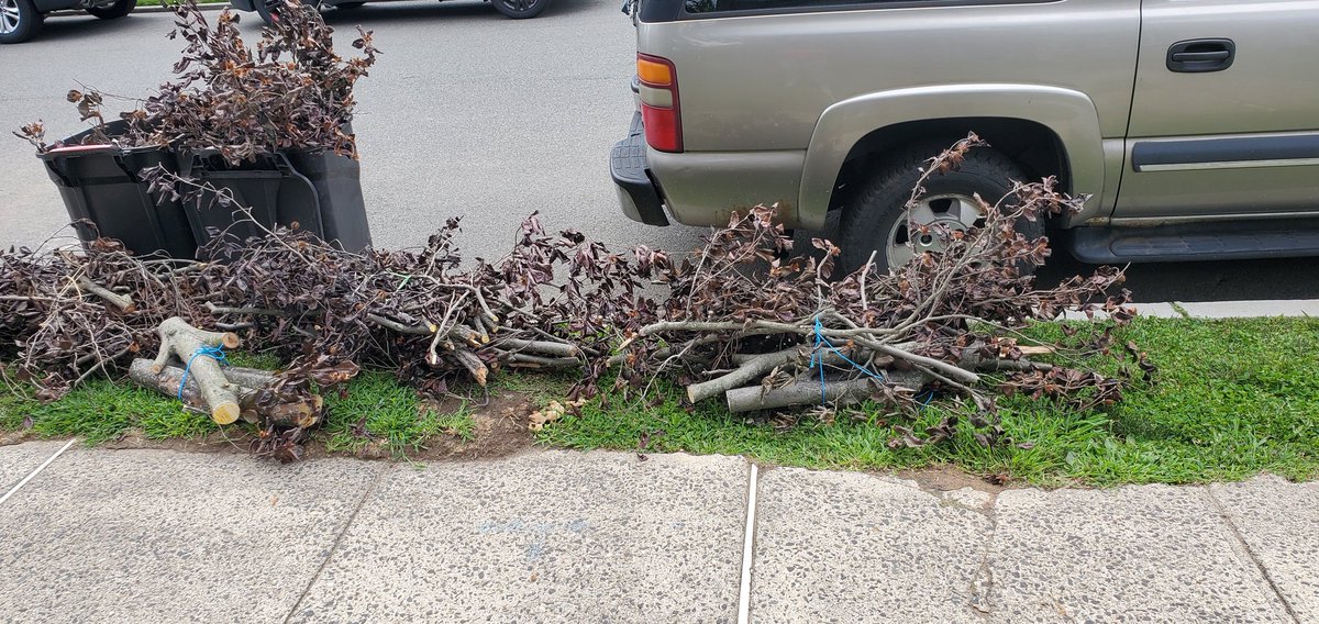 Huge branches came down from our tree the other day during the storm. Grateful it didn't hit our neighbors properly. He did help us clean up today 😁 I got to use the sawzall to help cutting up a few of the bigger branches 💪