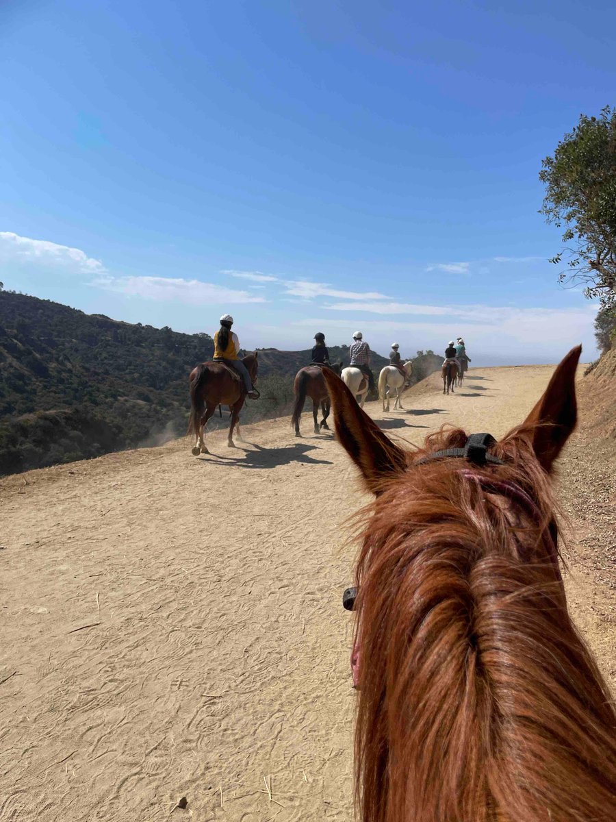 SunsetRanchLA's tweet image. Sunday funday y’all! We are ready to ride! 

#sunsetranchhollywood #hollywoodsign #hollywood #summer2023
