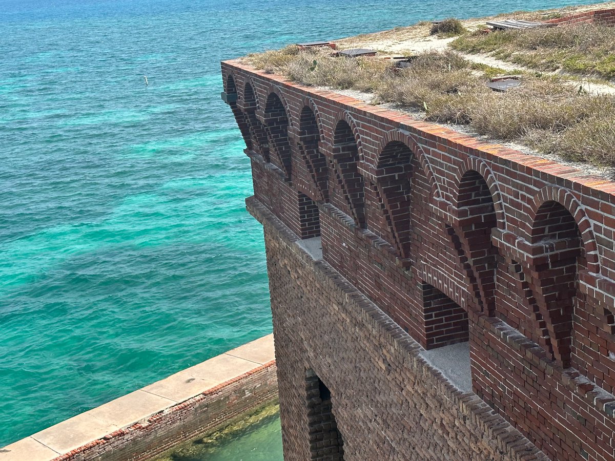 Erica Fabie tweet media