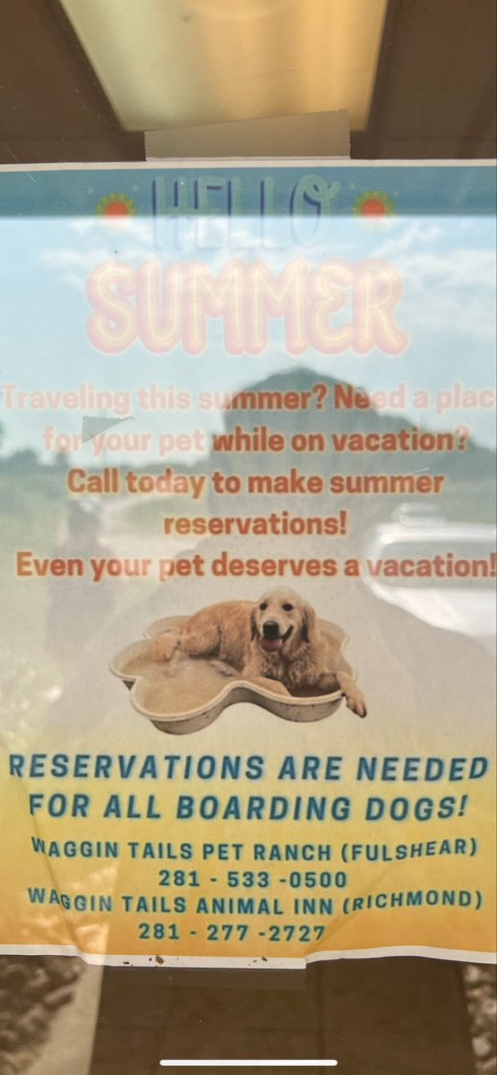 Levi is the poster boy for our boarding place. I’ll be accepting offers for future modeling jobs.😂