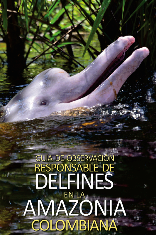 Conoce más del avistamiento responsable de delfines de río en la Amazonía
👇👇👇
bit.ly/3OCWGup