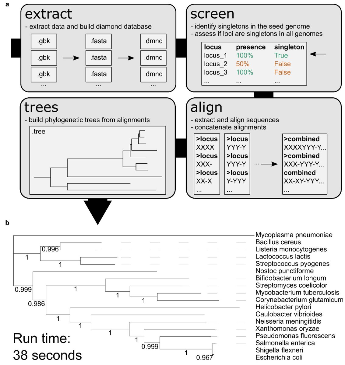 getphylo: rapid and automatic generation of multi-locus phylogentic trees from genbank files biorxiv.org/content/10.110…