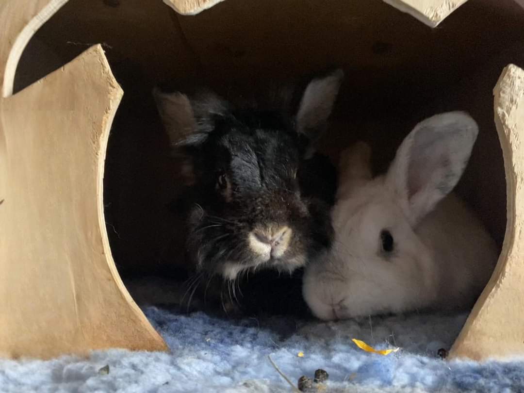 Gdyby nas szukali, tu jesteśmy! 😜 

~Belinda&amp;Darwin