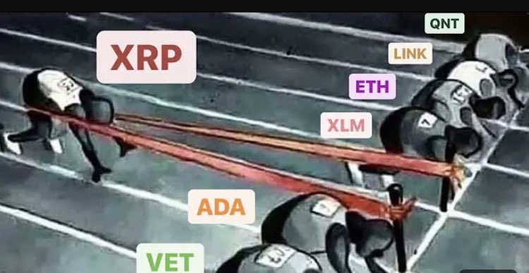 offficialrel's tweet image. $XRP Be like….