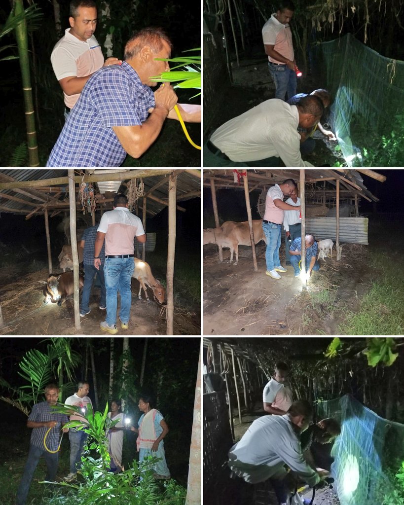 DVBPO_DIBRUGARH's tweet photo. Entomological surveys conducted at various locations of Khowang, Panitola and Naharani BPHC of #Dibrugarh jointly by Zonal Entomological Unit and #NCVBDC Dibrugarh for identification of #Mosquito species.
@keshab_mahanta
@dc_dibrugarh 
@nhm_assam 
@NHMDibrugarh https://t.co/cMNUyxoAAI
