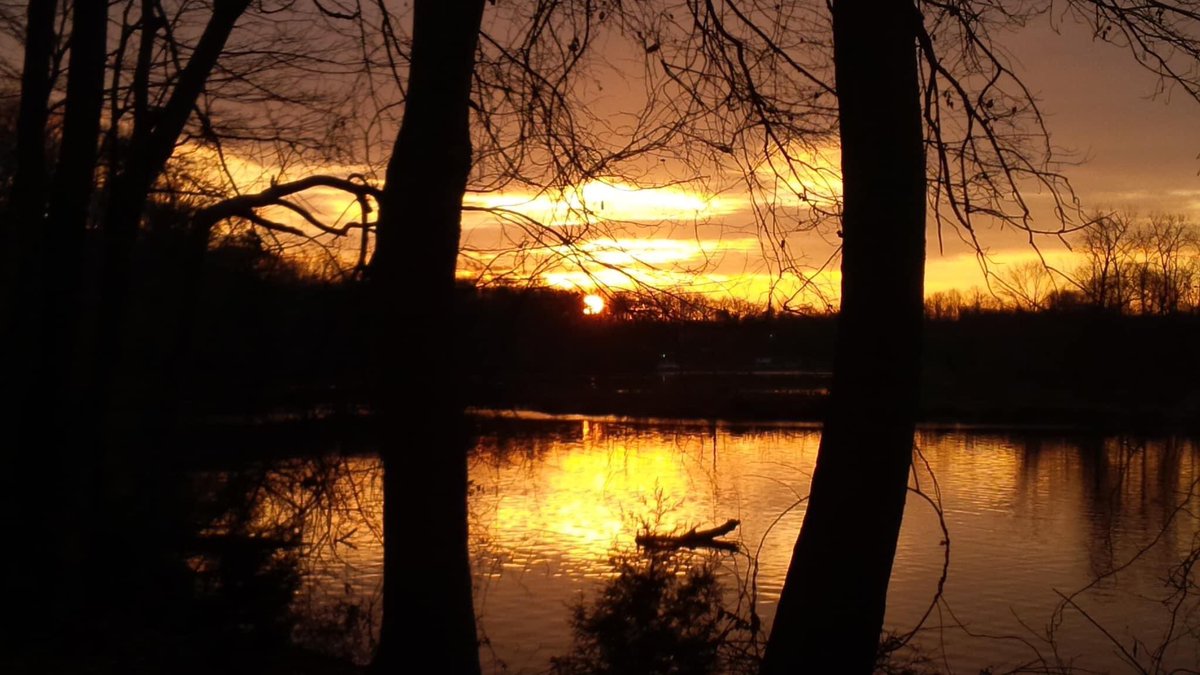 AccotinkFriends's tweet photo. Looking back at a few truly special moments at our Lake Accotink Park. See you on the trail! 

#fairfax #FLAP #lakeaccotink #FCPA #FCPS https://t.co/tCGdwc6L29