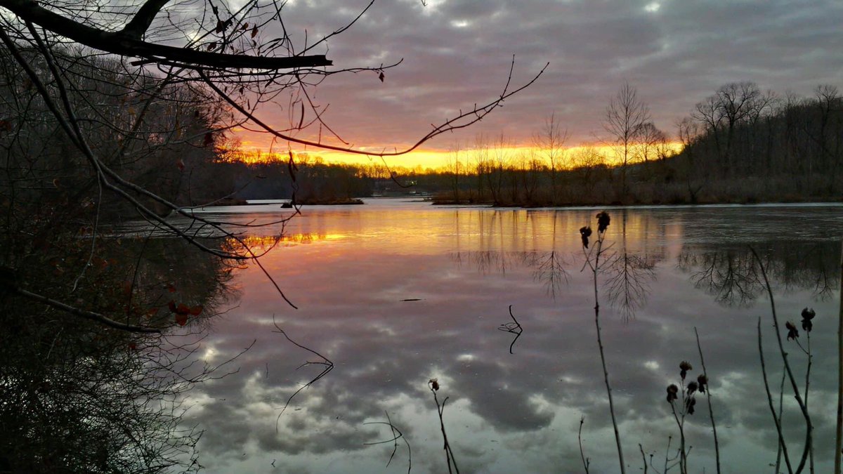 AccotinkFriends's tweet photo. Looking back at a few truly special moments at our Lake Accotink Park. See you on the trail! 

#fairfax #FLAP #lakeaccotink #FCPA #FCPS https://t.co/tCGdwc6L29