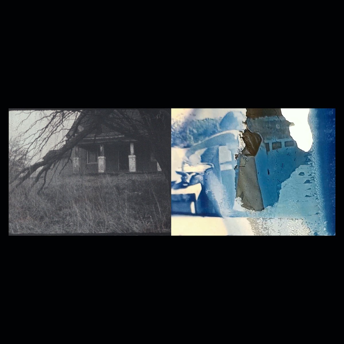 the8fest tweet media