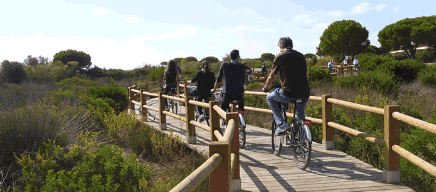 MesaporTablada's tweet photo. El parque metropolitano Marisma de los Toruños y Pinar de la Algaida, en la Bahía de Cádiz, 1.000 ha, 3 veces Tablada, coste de mantenimiento anual: inferior a 700.000 €. Si lo comparáramos de nuevo, el coste anual aproximado para Tablada sería poco más de 200.000 €. 🌳🌳🦩🦩🦩 https://t.co/YWVKF6LlSW