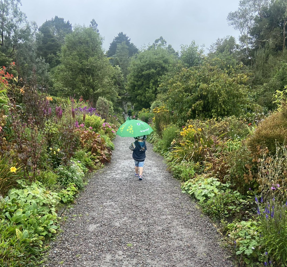 Michelle Curtin tweet media