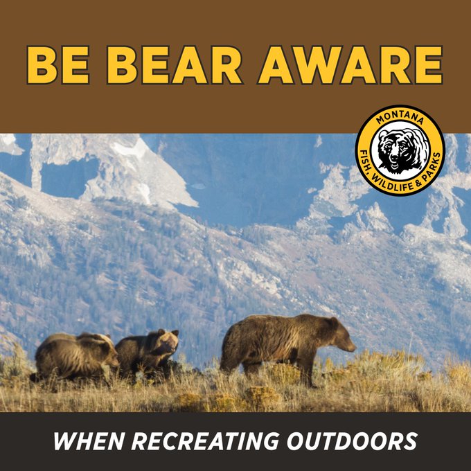 OUTDOOR RECREATION in bear country: fwp.mt.gov/conservation/w… 

#bears #wildlifemanagement #outdoorrecreation #hunting #hiking #mountainbiking #trailrunner