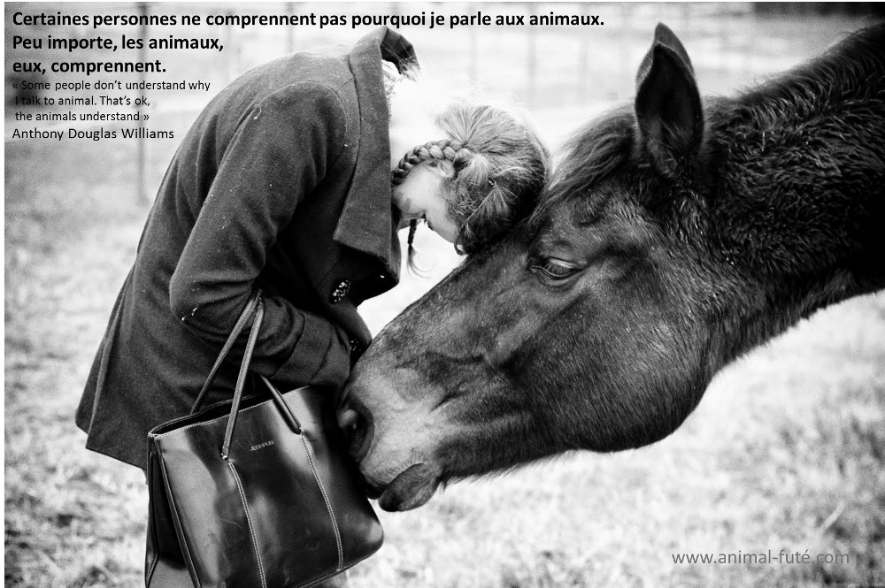AnimalFute's tweet photo. https://t.co/7eVleL7ZiX 
#GardeAnimauxEntreParticuliers https://t.co/ecIPuRKmXz