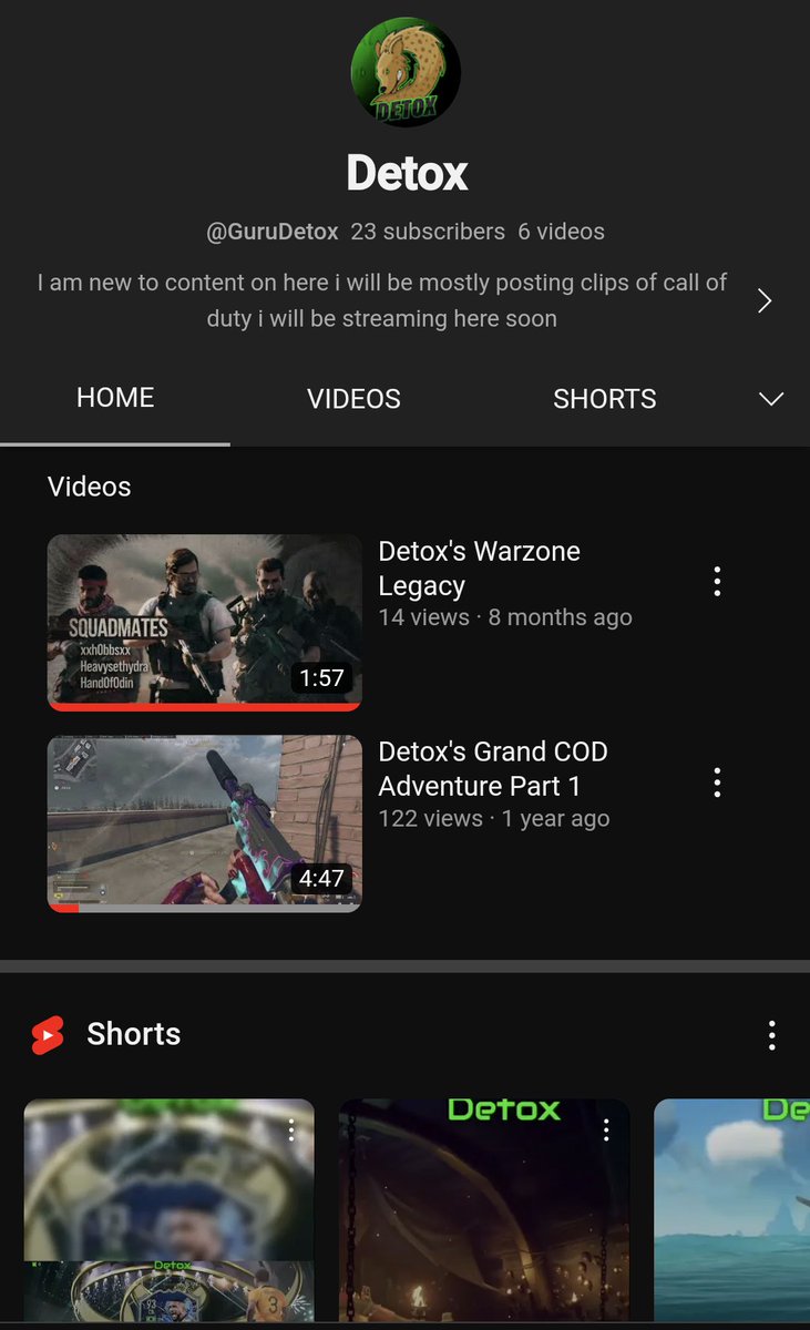 Detox #SOTFEST2025 tweet media