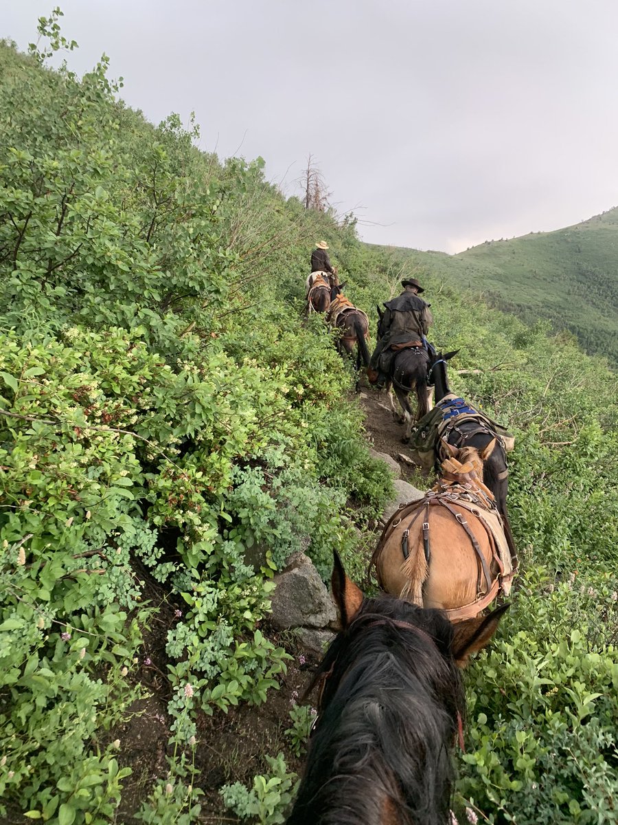 HumboldtToiyabe's tweet photo. Elko, NV - HTNF Range Staff and a member of the Backcountry Horsemen, packing in gear for the Sierra Club up the Ruby Crest Trail.
We believe our Forest Range program is one of the best in the nation!
#range #elkonevada #packmule #cowboys https://t.co/teFx7NOZfG