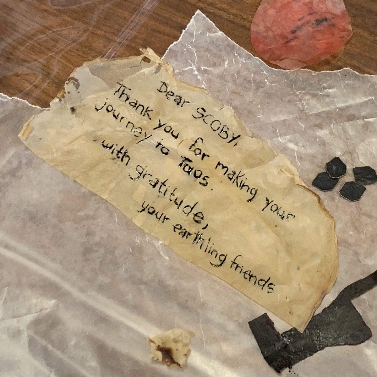 Fiona Bell tweet media