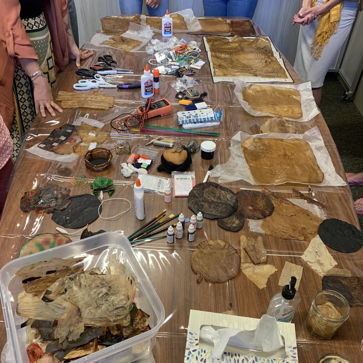 Fiona Bell tweet media