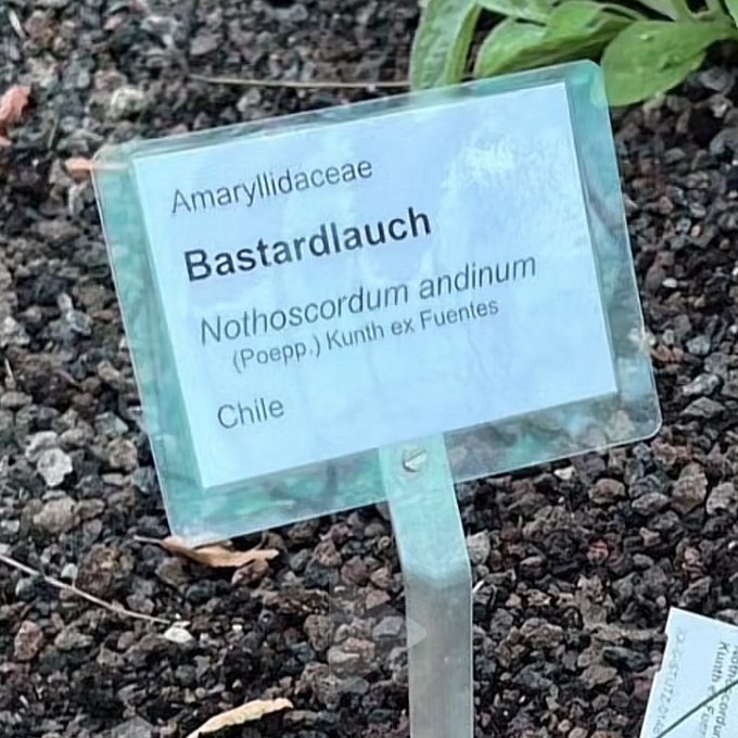 Warum heißt es Afd und nicht...