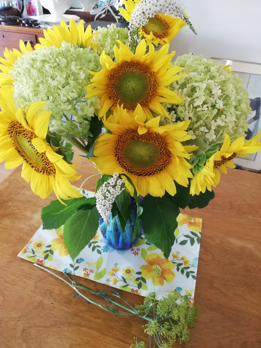 Market days and roadside stands
#buylocal #sunflowers #dill #SummerVibes