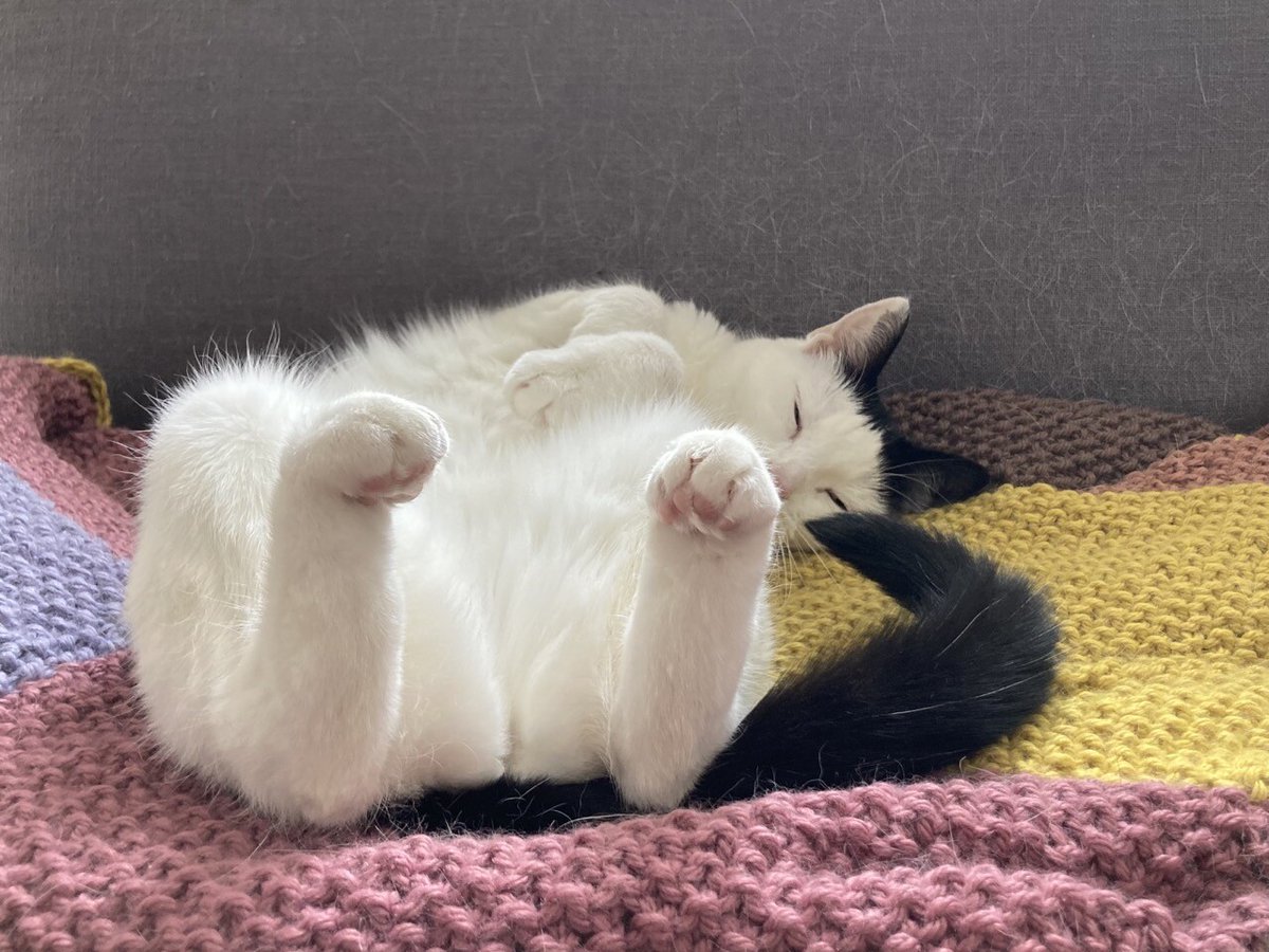 Astrid Poot tweet media