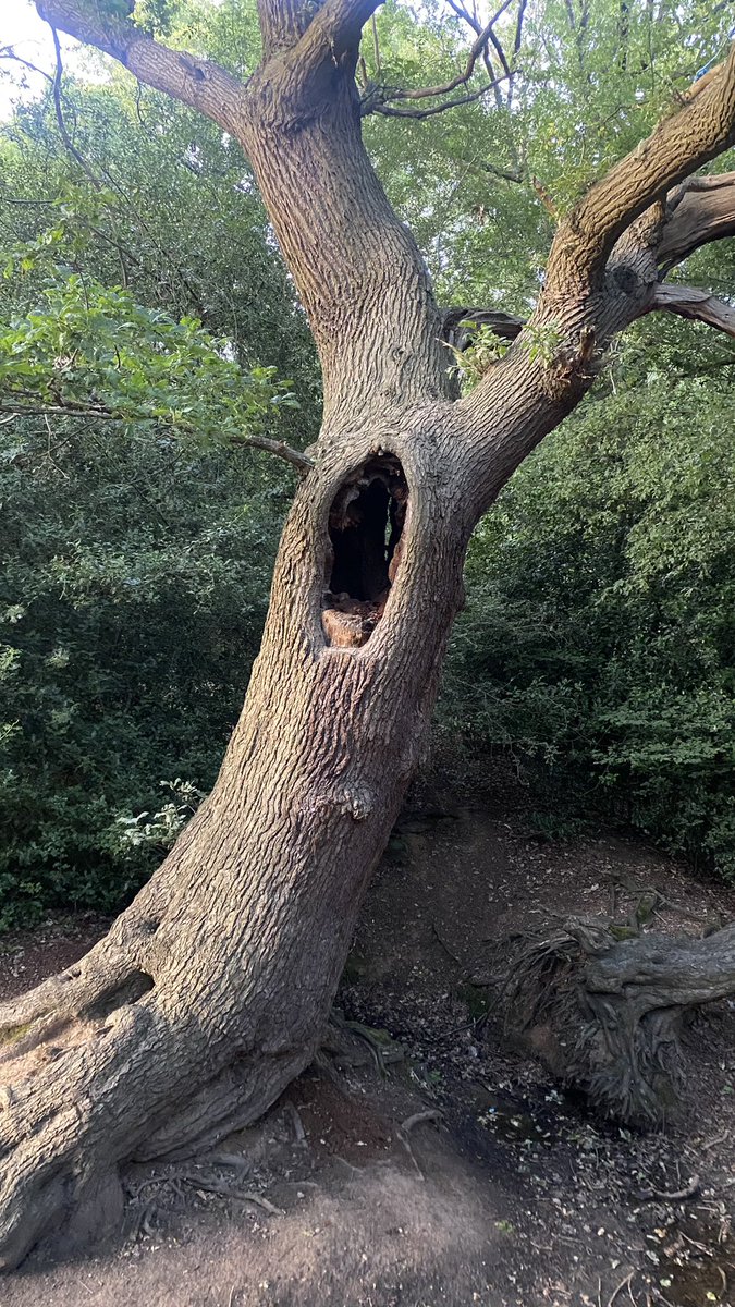 Had the bestest weekend glamping! <a href="/bgcamping/">Black Girls Camping Trip</a> thank you <a href="/tiannathewriter/">Tianna, the Writer</a> for making this a reality 🥹🥰😘