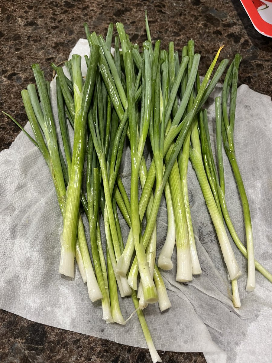 AKientzy's tweet photo. I have tried to grow onions for years, this is part of my first successful crop. Just like everything in life I keep learning from my mistakes. #failforward #gardener #onion #lifestudent https://t.co/ZAA2TJJPAH