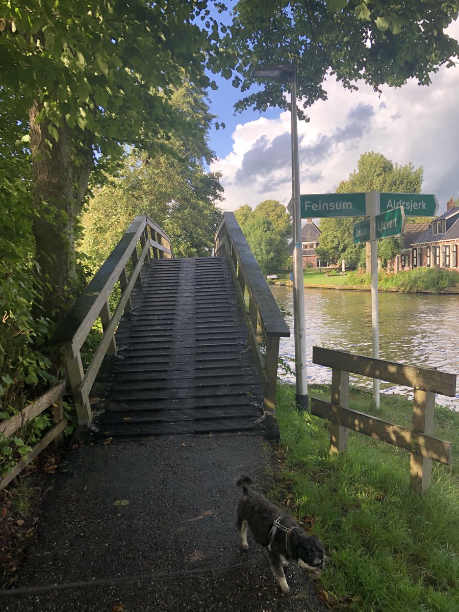 FredRaangs's tweet image. Prinsentuin te druk mooiste plekjes bezet.   # Leeuwarden Nu beland in ……. # Bartlehiem  # regen # wind