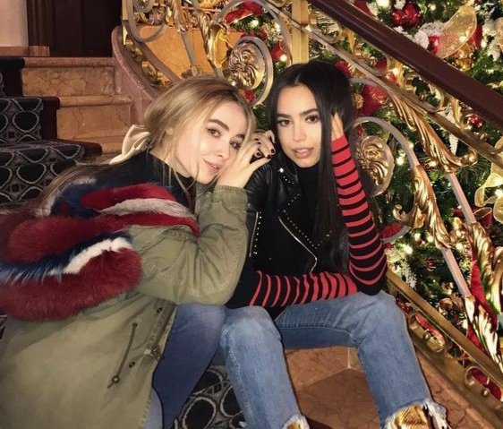 shwnbrinas tweet picture