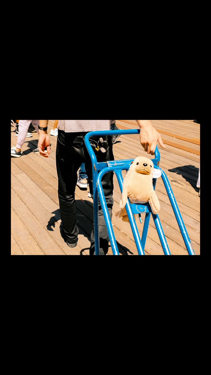 wanyelloo's tweet photo. A day of street photography in Pier 39, San Francisco, CA 
#X #x100v #fujifilm #fujixweekly #street #fujifilm_xseries https://t.co/DjdljNpubW