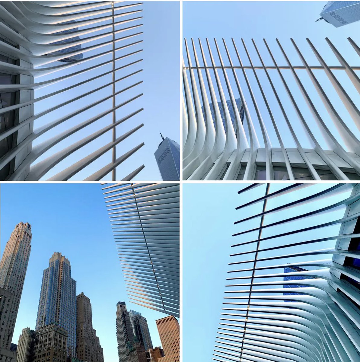 Telestratt's tweet photo. Playing with light, form and the Oculus. #davidbarish #nft #photographer #instagram #blogger #coniseur #arts #reportage #eastvillagelive #taichi #ArtisTalking #TravelrPoet #foodie #singersongwriter #theoculus https://t.co/A9A2HykdSS
