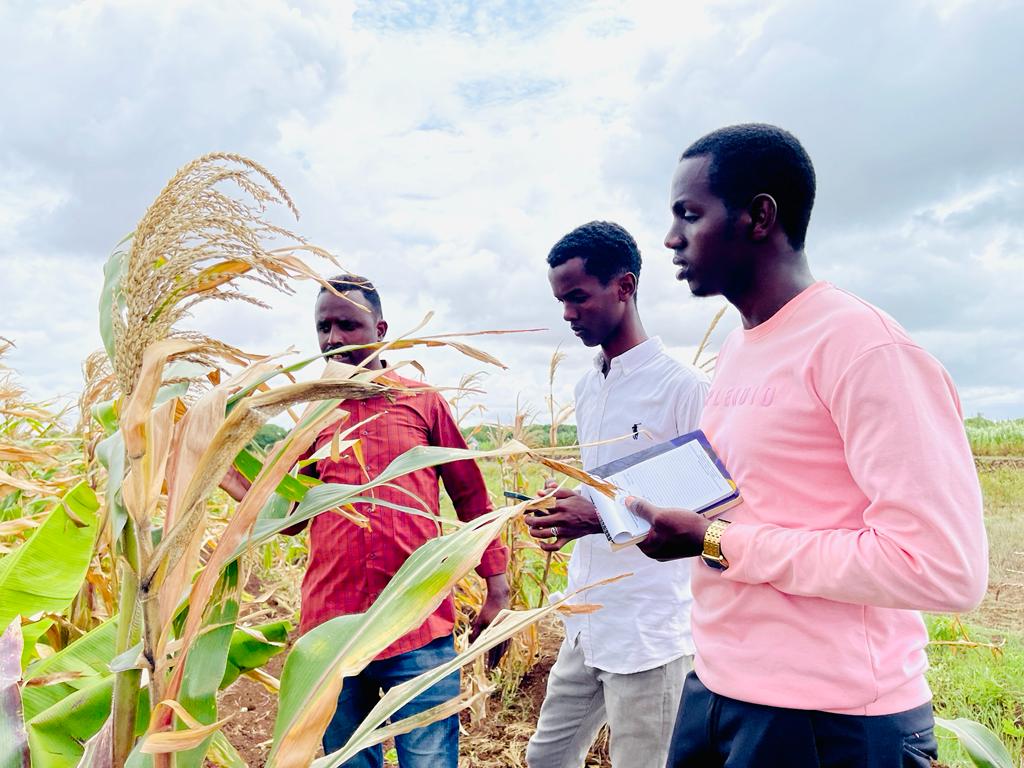 AGREForg's tweet photo. The students benefited from the "Feild Training Programme at Afgoye" programme that we conducted.
The Agro-Environmental Forum promotes agricultural growth and environmental activism.
#AGREF #Agriculture #Environment #AGREF https://t.co/pkMmp2bqo8