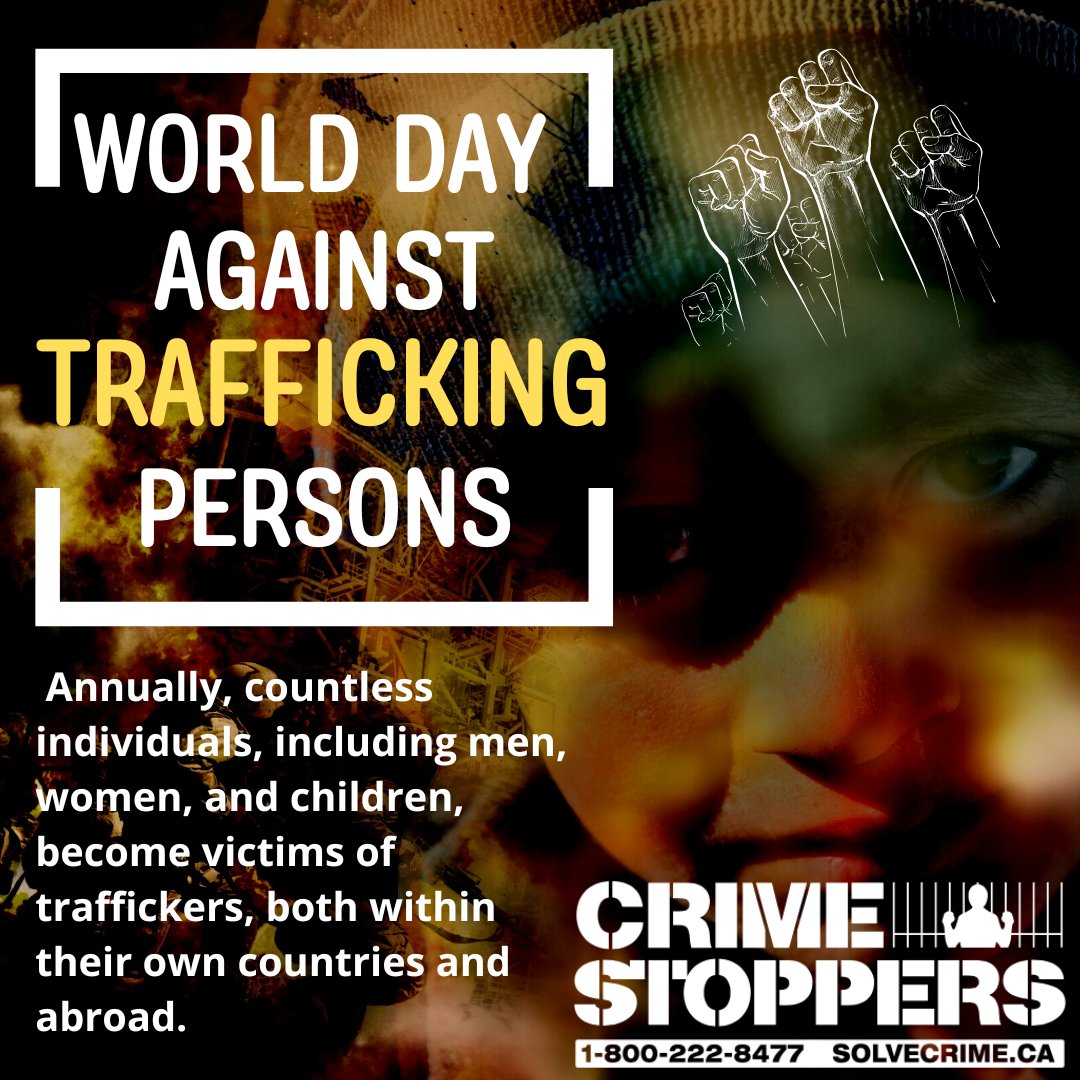 SolveCrime's tweet photo. Today, we recognize the World Day Against Trafficking Persons, a global effort to raise awareness about the grave crime of human trafficking. 

If you have any information and wish to remain anonymous, contact Crime Stoppers at 1-800-222-8477 or online at https://t.co/4Rh2XJ4I6V https://t.co/0MfIfi0NtB