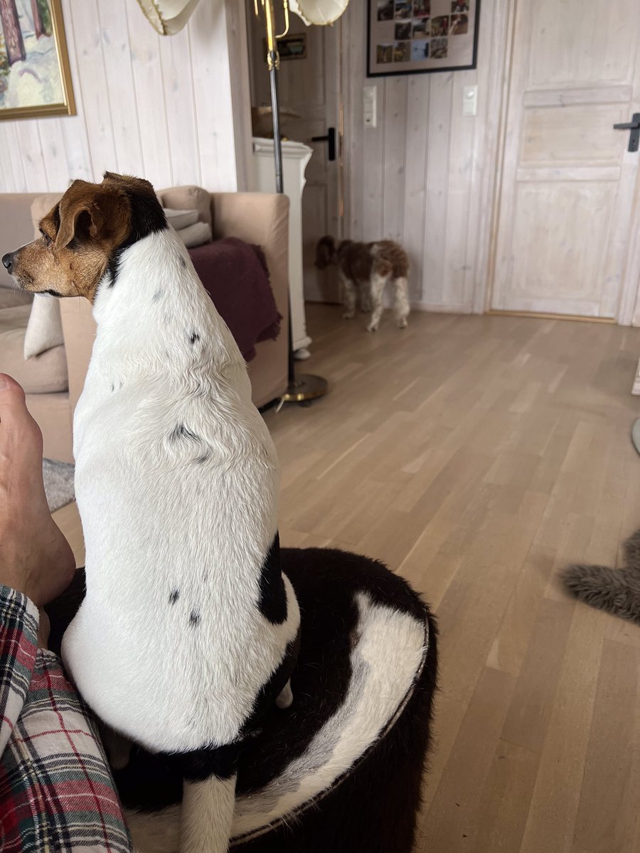 Toril Kagnes tweet media