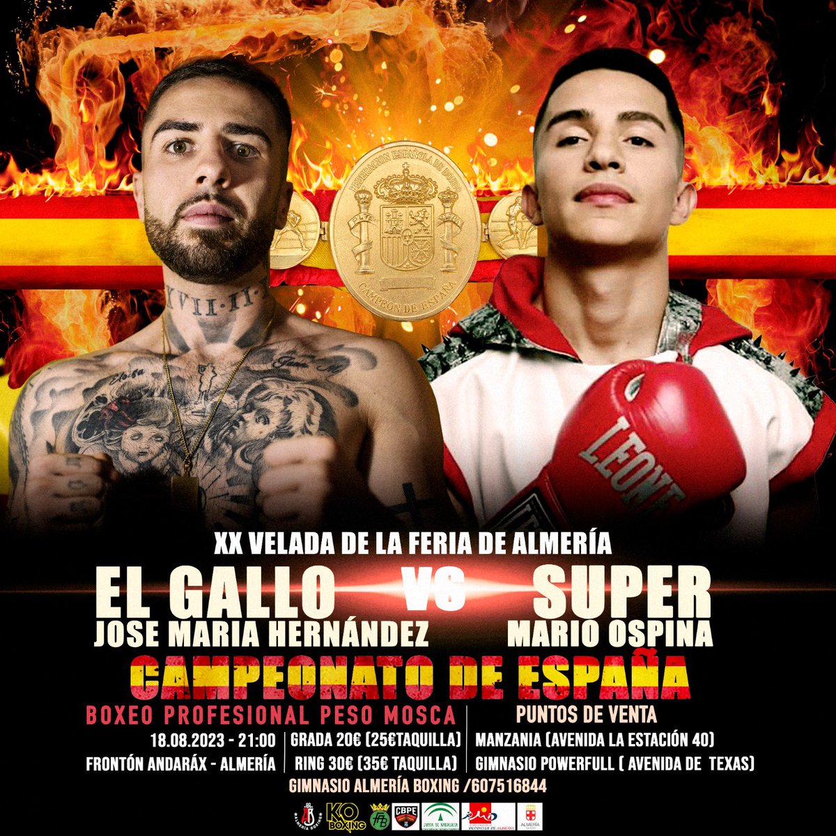 KO BOXING tweet media