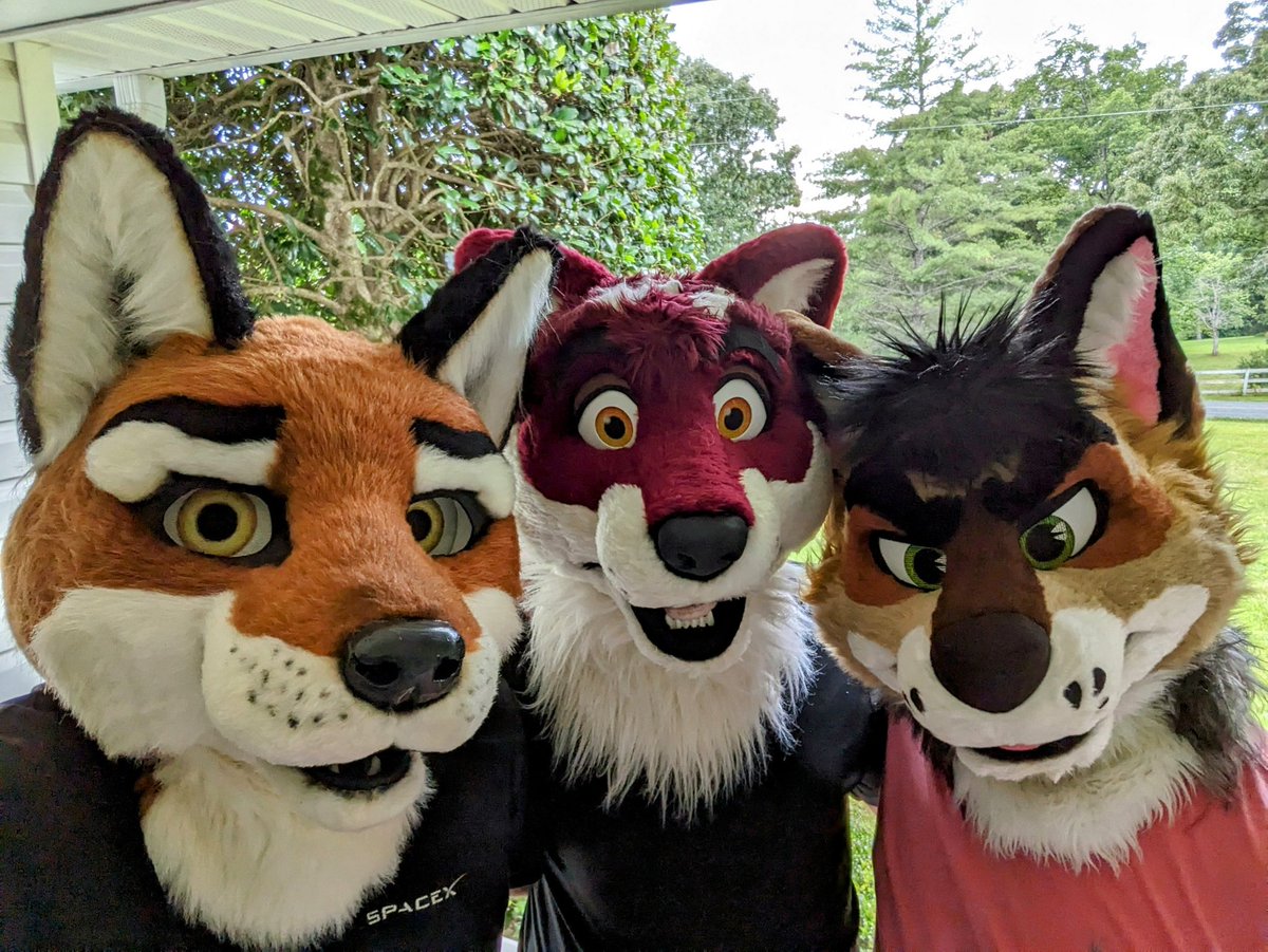 Foxes, wolves and jackals... oh my. @TiG_Wolf <a href="/BraniffMoot/">Braniff</a>