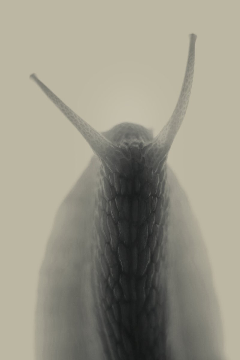 herbholzmann (@herbholzmann) on Twitter photo 