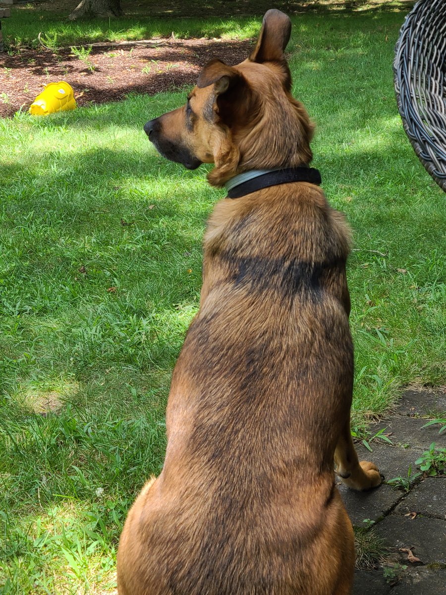 Ben Holloway tweet media