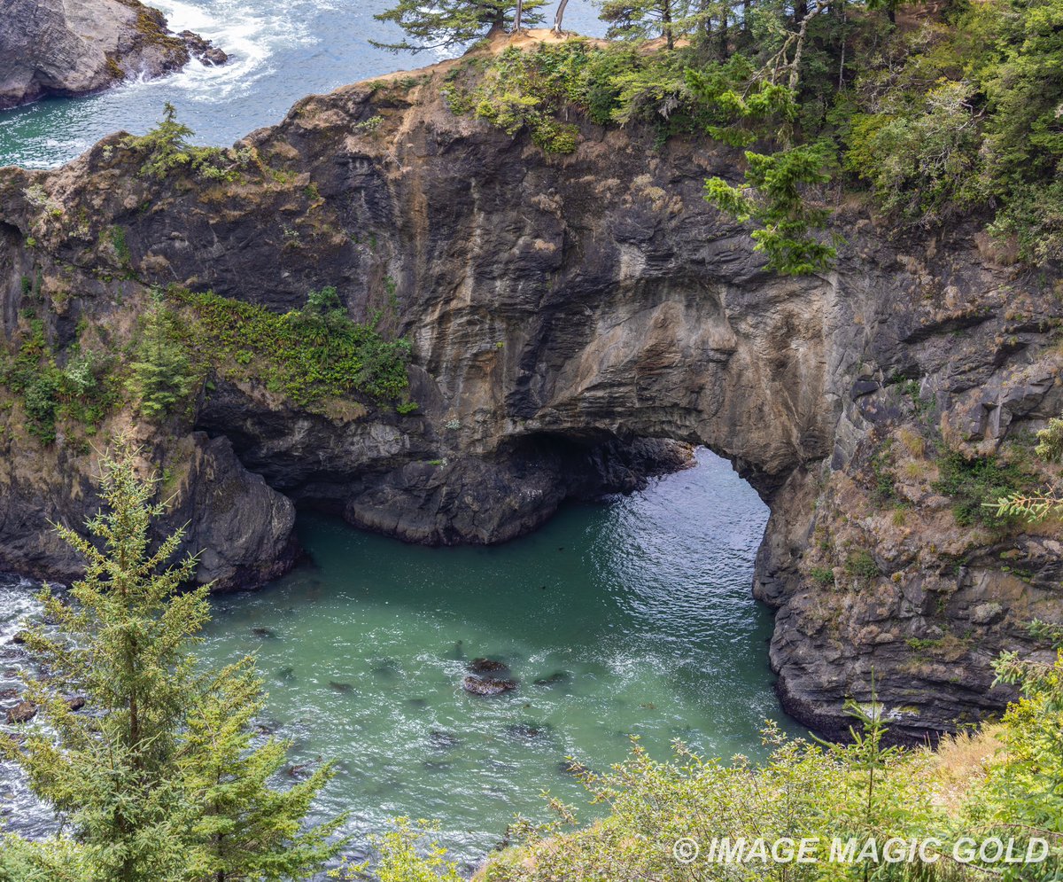 Capt. Cris tweet media