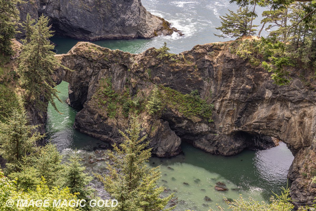 Capt. Cris tweet media