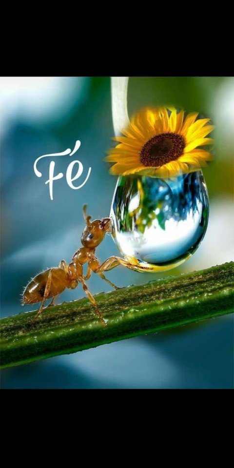 #VenezuelaTierraProductiva