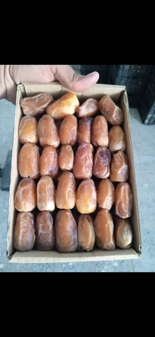 ابو محمد اليمن الجوف (@naiynaiy7126) on Twitter photo 