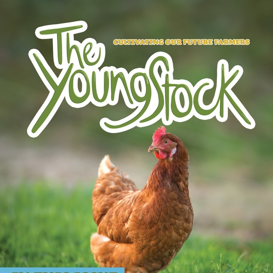 TYoungstock's tweet photo. This week, I've been at The Royal Welsh Show, promoting &amp; connecting with like-minded people.

It would be great to connect with @TheoPaphitis &amp; show him this small educational business &amp; learn how to take it to the next level by being part of the #SBS crew! 

#futurefarmers https://t.co/ycc1kU5vd3