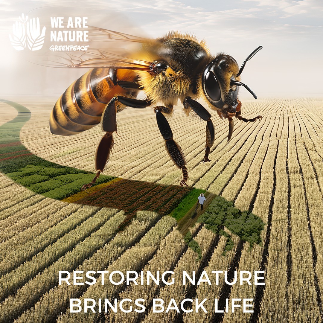 GreenpeaceCA's tweet photo. Life can be restored if we give nature space 💚🐝

Bees need more pesticide-free space so they can continue the essential role they play as pollinators.

#SaveTheBees >> https://t.co/o5CgOmaVxn

🎨Artworks by AI/Photoshop artist Greg Rawson https://t.co/eVYtCR20CI