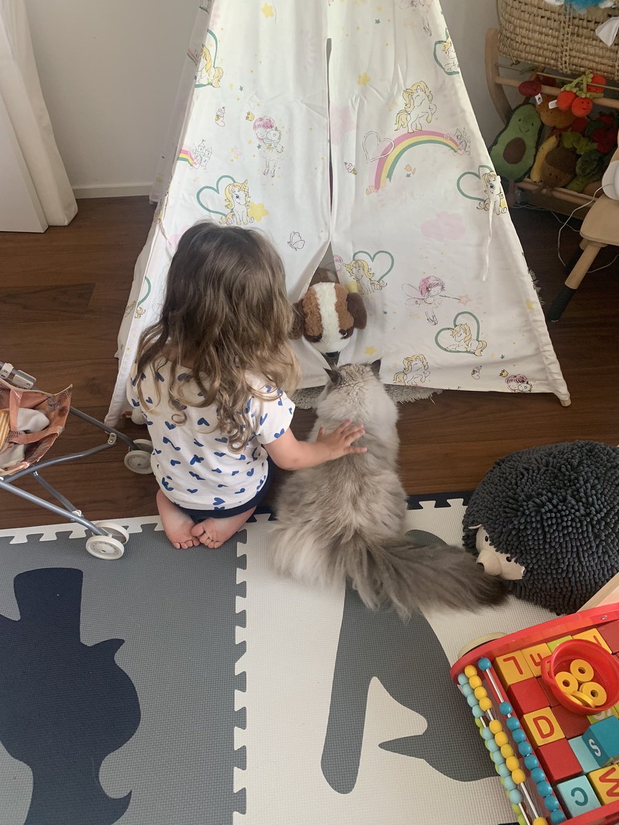 fluffy_potichat's tweet image. Vazy Grochien tu nous laisses rentrer ?!