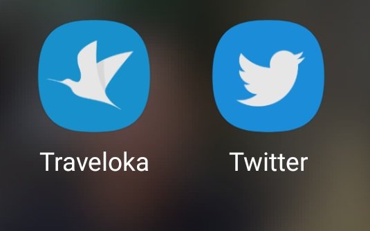 graciaangelikaa's tweet image. gak bakal gue update twitter ke X, soalnyaa kasian burung traveloka entar gak ada temennyaa. Cukup yang punya hp aja sendiri, aplikasinya jangann #pecintaburung 🫶🫶