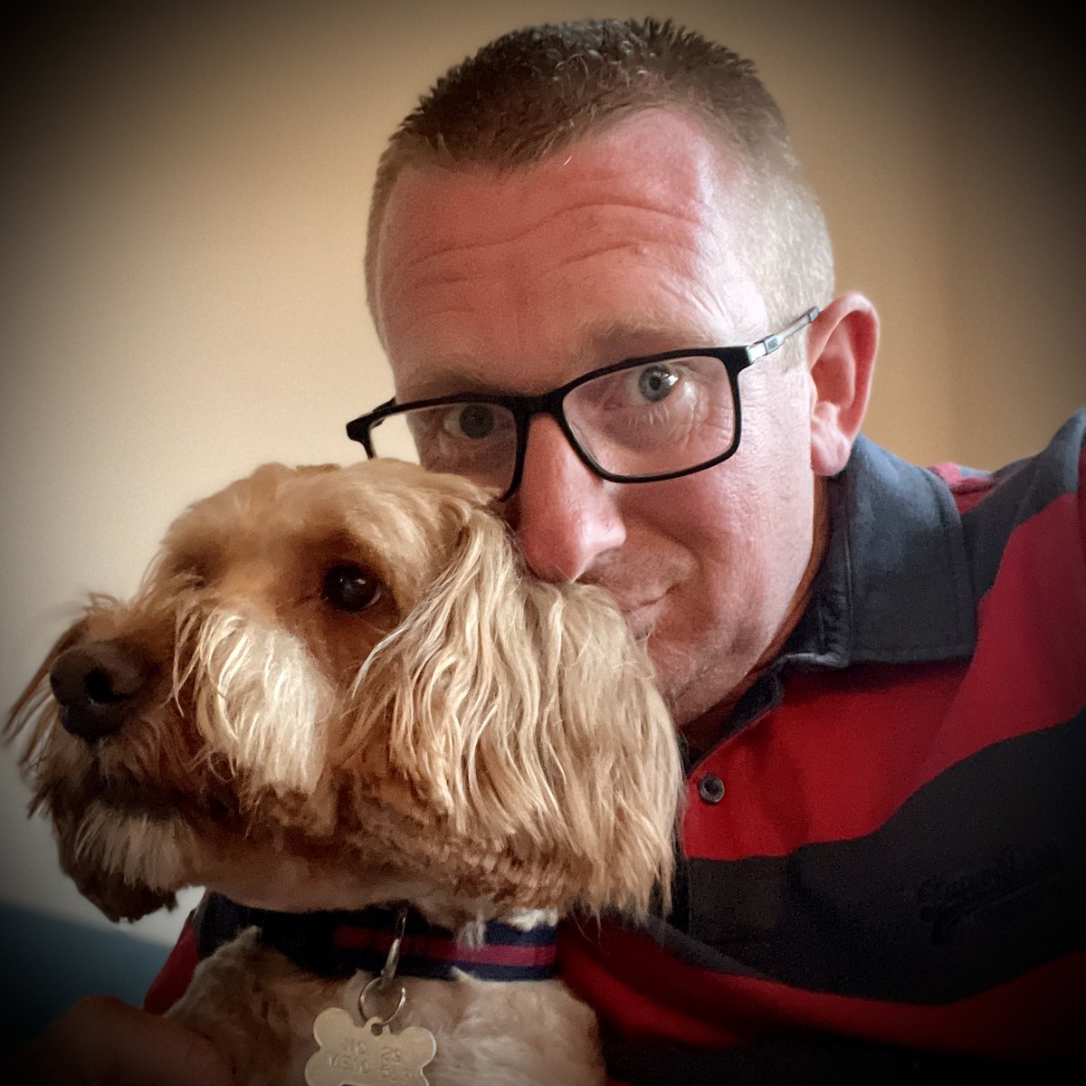 dave4724's tweet photo. Archie showing off his 🔵🔴🔵 dog collar haha 😂😂😂 https://t.co/REJG4j84yV