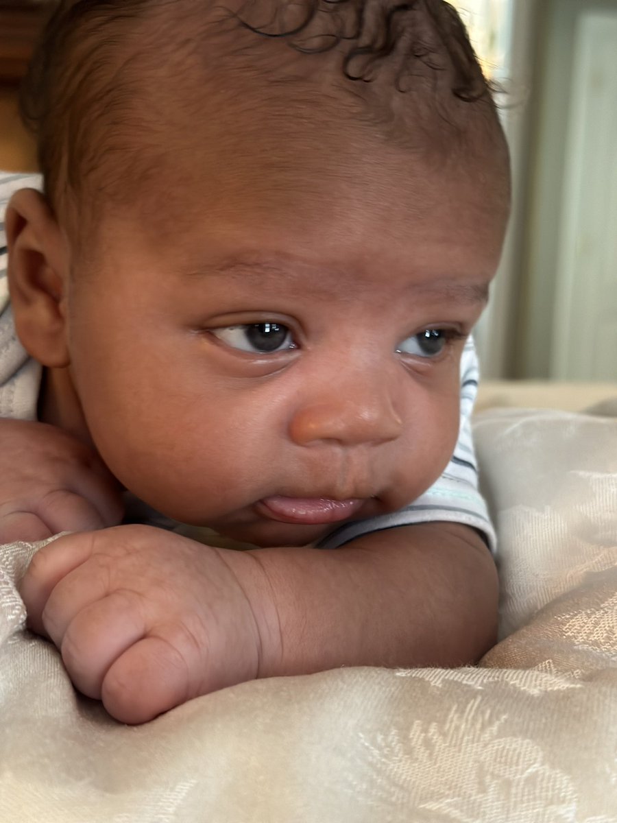 wcfuller's tweet photo. #Bubba #MilkMan #MrT 6 Week Old https://t.co/K0zVHy0WAG
